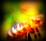 Kompression.tiff Icon