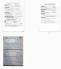 Screen-shot of thumbnail images.