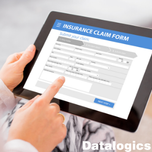 Datalogics report essay 05 picture